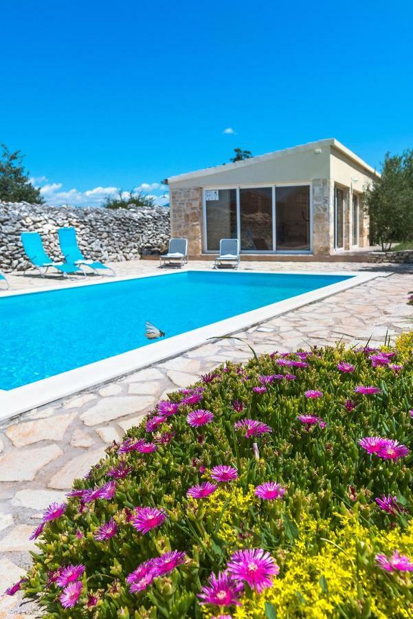 Rural House Mudrinic 