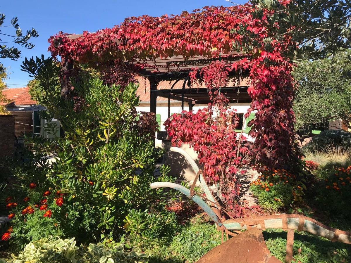 Rural House Mudrinic 